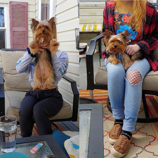 Pet Store «Village Pet Shop», reviews and photos, 701 N Black Horse Pike, Williamstown, NJ 08094, USA