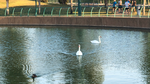 Ra'anana Park