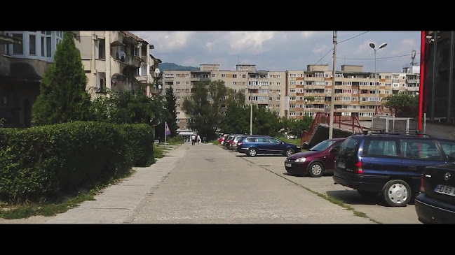 Strada Vasile Alecsandri, Vulcan 336200, România