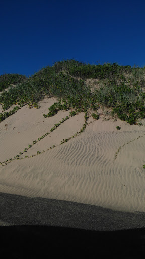 Amusement Park «Gravity Park», reviews and photos, 106 W Marlin St, South Padre Island, TX 78597, USA