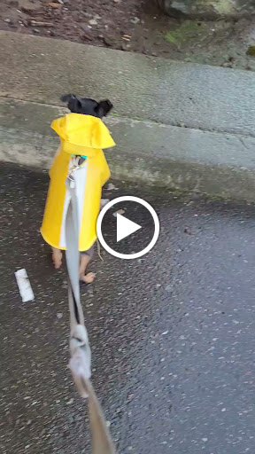 Drug Store «CVS», reviews and photos, 1105 Myrtle Avenue, Eureka, CA 95501, USA