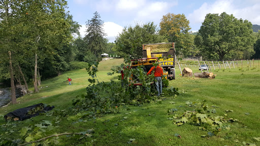 Vineyard «Torne Valley Vineyard», reviews and photos, 1 Torne Valley Rd, Hillburn, NY 10931, USA