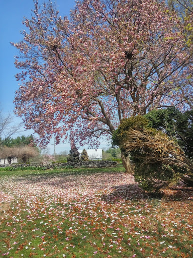 Park «Rose Hill Manor Park», reviews and photos, 1611 N Market St, Frederick, MD 21701, USA