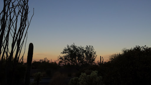 Golf Club «Desert Highlands Golf Club», reviews and photos, 10040 E Happy Valley Rd, Scottsdale, AZ 85255, USA