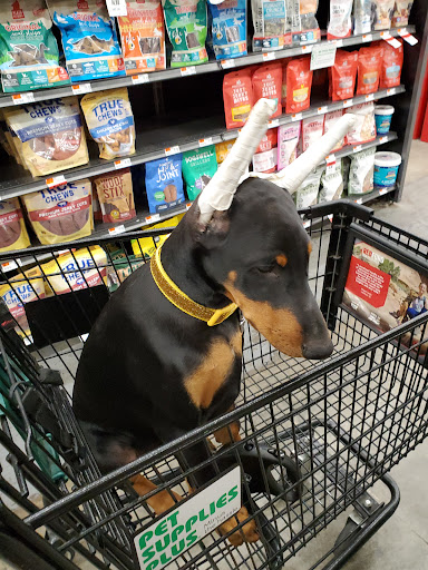 Pet Supply Store «Pet Supplies Plus», reviews and photos, 1411 S Stockton St, Lodi, CA 95240, USA