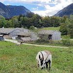 Photo n°2 de l'avis de Christine.c fait le 20/10/2023 à 19:31 sur le  Markus Wasmeier Freilichtmuseum à Schliersee