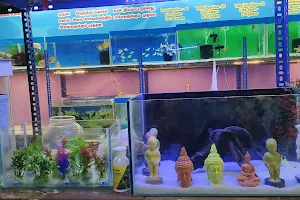 Aatheesh Fish Aquarium & pet shop image