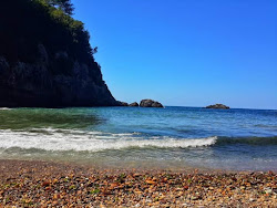 Danaagzi Natural Park'in fotoğrafı vahşi alan
