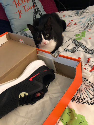 Shoe Store «Foot Locker», reviews and photos, 1540 N Olden Ave, Ewing Township, NJ 08638, USA