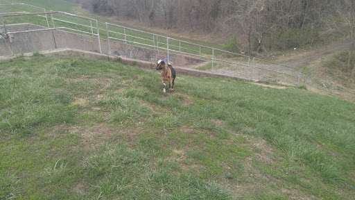 Tourist Attraction «Loop Island Wetlands», reviews and photos, 2200 E Main St, New Albany, IN 47150, USA