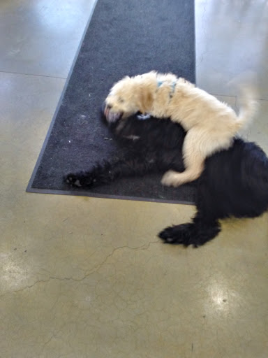 Pet Supply Store «Zamzows on Franklin Blvd», reviews and photos, 1201 Franklin Blvd, Nampa, ID 83687, USA