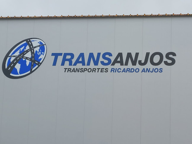 Avaliações doTransportes Ricardo Anjos em Braga - Serviço de transporte