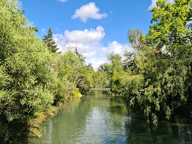 Termas da Curia