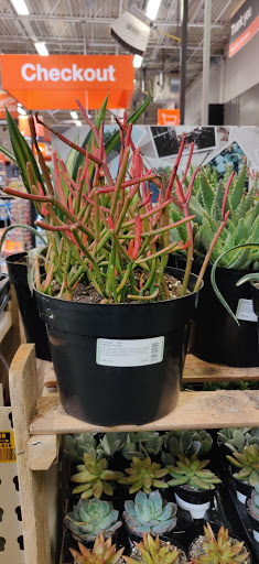 Home Improvement Store «The Home Depot», reviews and photos, 1155 High St, Wadsworth, OH 44281, USA