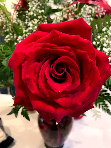 Florist «New Tampa Florist», reviews and photos, 15310 Amberly Dr #250, Tampa, FL 33647, USA