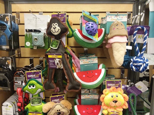 Department Store «Stein Mart», reviews and photos, 191 Rice Lake Square, Wheaton, IL 60189, USA