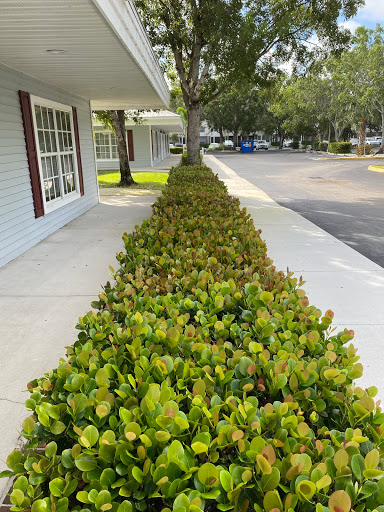 Commercial Cleaning Service «Best Choice Cleaning Service», reviews and photos, 1677 Sunset Pl, Fort Myers, FL 33901, USA