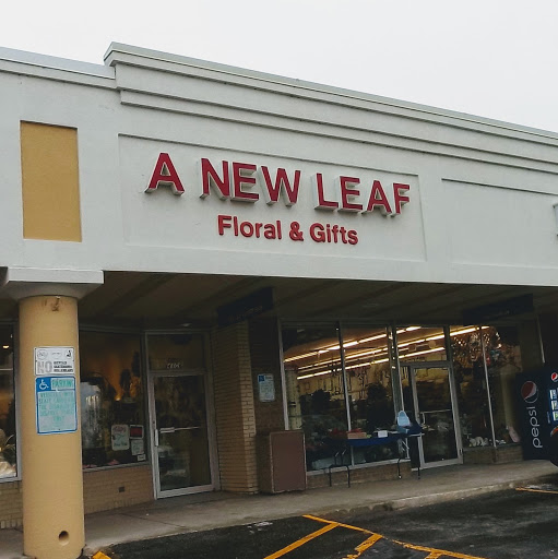 Florist «A New Leaf Flowers and Gifts», reviews and photos, 4106 Monona Dr, Madison, WI 53716, USA