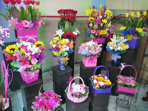 Florería Cherry Love florería en  en la zona Francisco Murguía