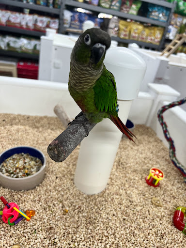 Pet Store «Pet Paradise», reviews and photos, 307 Kellam Rd, Virginia Beach, VA 23462, USA