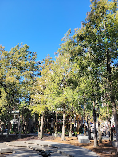 Historical Society «Orange County Regional History Center», reviews and photos, 65 E Central Blvd, Orlando, FL 32801, USA