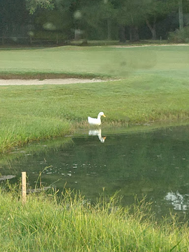 Golf Driving Range «Tanglewood Golf and Country Club», reviews and photos, 5916 Tanglewood Dr, Milton, FL 32570, USA