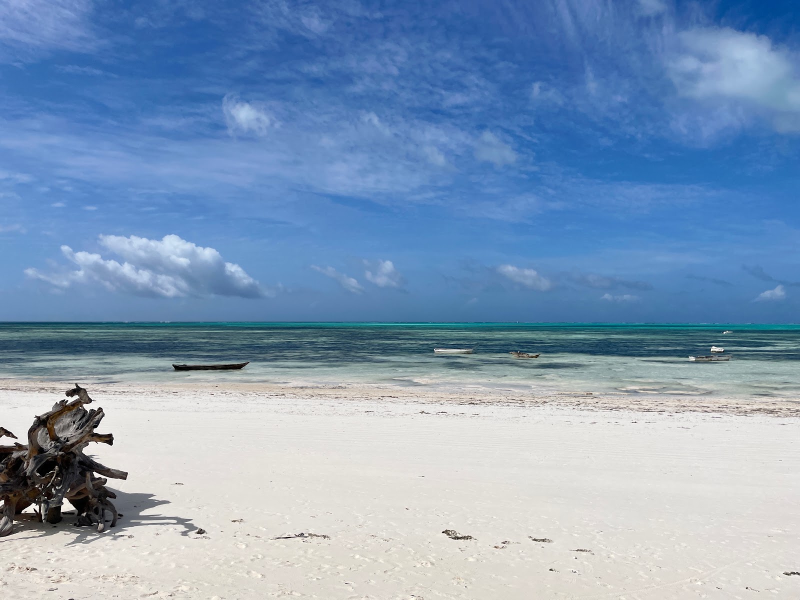 Fotografija Jambiani plaža z visok stopnjo čistoče