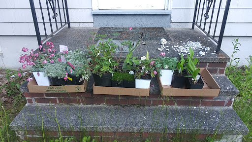 Florist «Skillins Greenhouses», reviews and photos, 89 Foreside Rd, Falmouth, ME 04105, USA