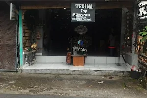 Terina Shop image