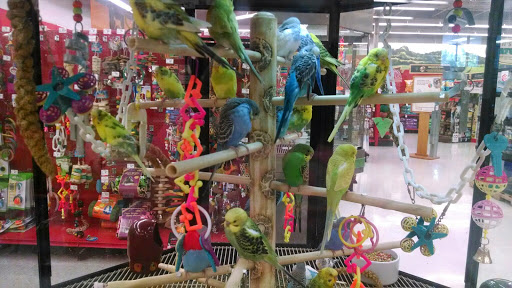 Pet Supply Store «Petco Animal Supplies», reviews and photos, 308 E Meighan Blvd, Gadsden, AL 35903, USA