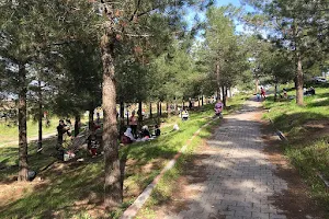 Yaşar Kemal Urban Forest image