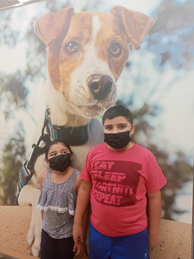 Pet Supply Store «Petco Animal Supplies», reviews and photos, 2519 E Expy 83, Mission, TX 78572, USA