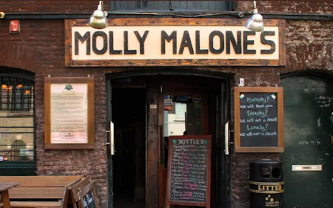 Molly Malone's Irish Pub image