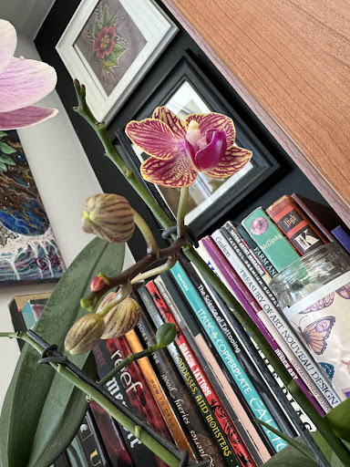 Explore pregnancy loss tattoo ideas, creative tattoo ideas in Papillion, available at Moon Water Tattoo