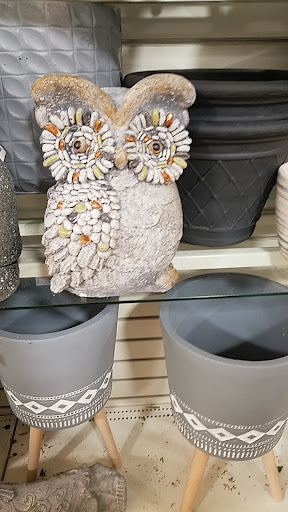 Department Store «HomeGoods», reviews and photos, 43635 W Oaks Dr, Novi, MI 48377, USA