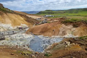 Reykjanesfólkvangur image