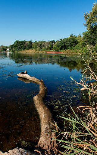 Nature Preserve «Grant Woods Forest Preserve», reviews and photos, 25405 W Monaville Rd, Ingleside, IL 60041, USA