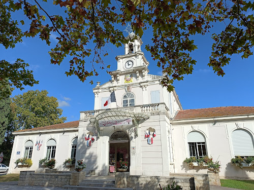 Thierry MORCHAIN Agent commercial en immobilier sur Saint Martin de Crau à Saint-Martin-de-Crau