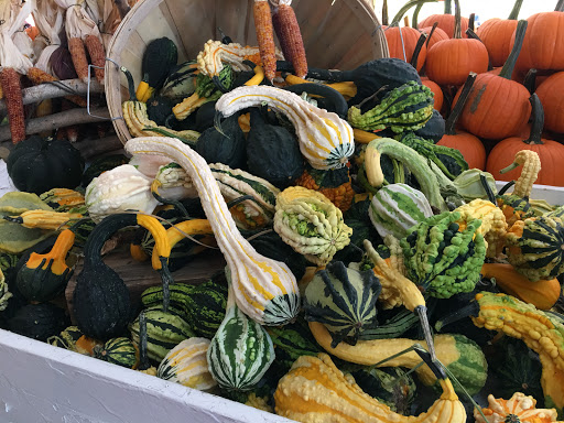 Grocery Store «Red Top Farm Market», reviews and photos, 1801 NJ-70, Southampton Township, NJ 08088, USA