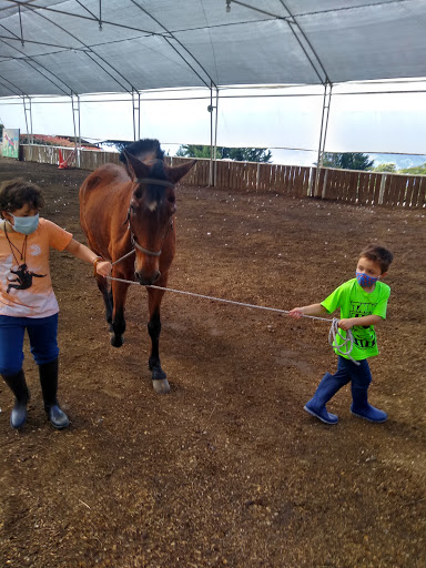 Escuela De Equitación La Granja