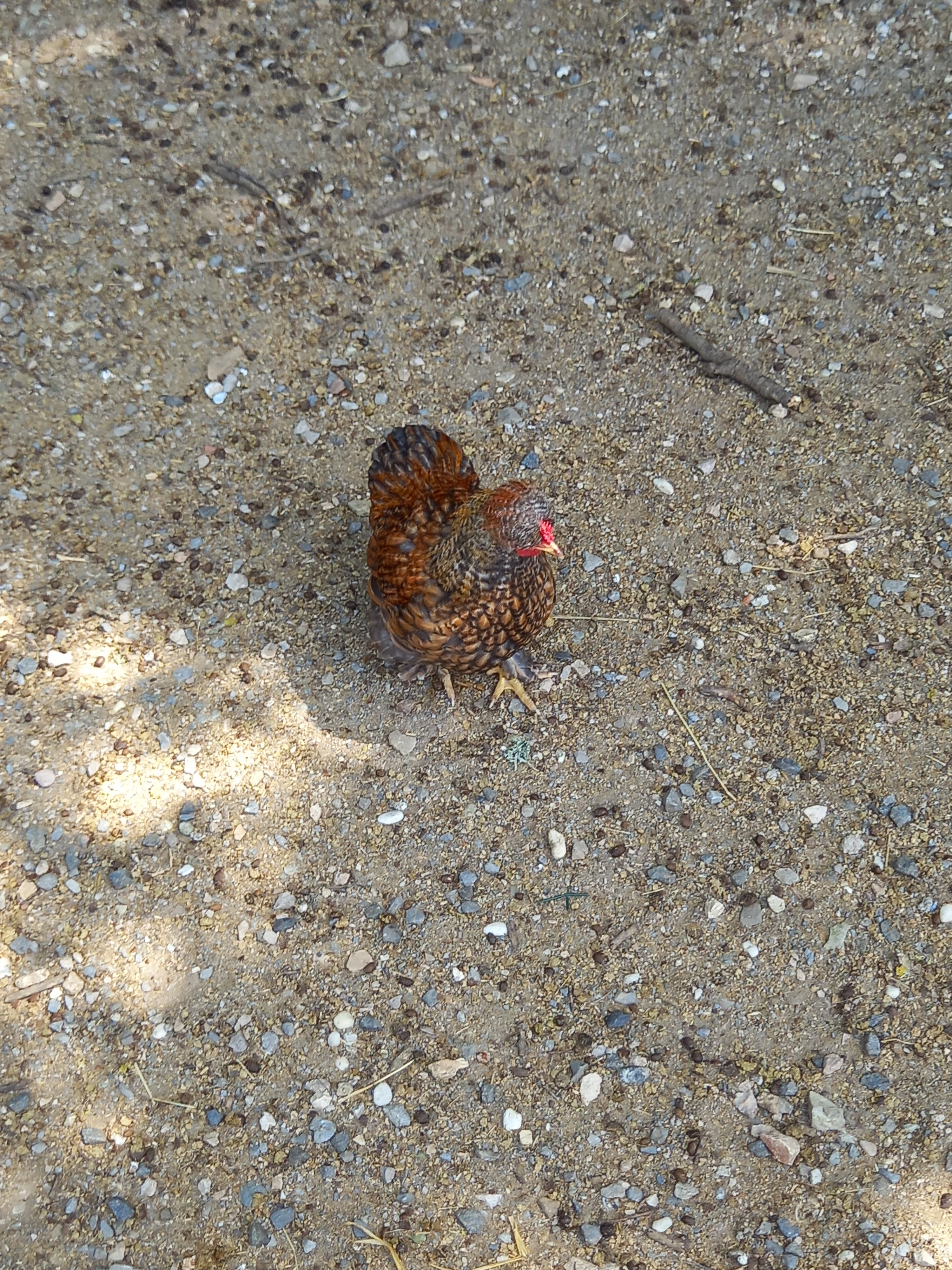 Photo n° 3 de l'avis de Lysiane.a fait le 19/07/2023 à 21:15