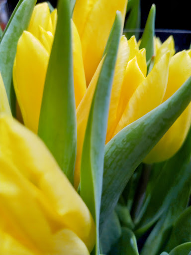 Grocery Store «The Fresh Market», reviews and photos, 196 Alps Rd #50, Athens, GA 30606, USA