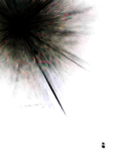 Community Center «Seventh Day Adventist COMM Center», reviews and photos, 1320 N 15th St, Phoenix, AZ 85006, USA