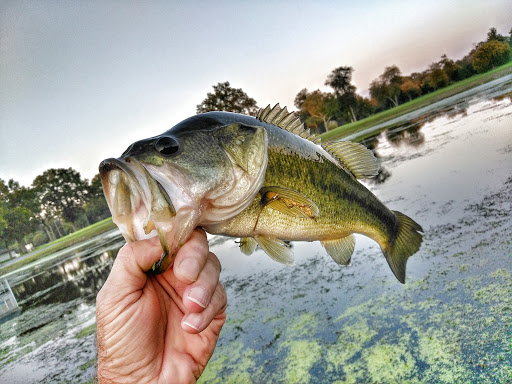 Golf Club «Patuxent Greens Country Club», reviews and photos, 14415 Greenview Dr, Laurel, MD 20708, USA