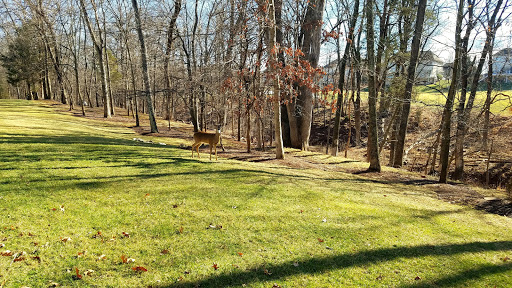 Golf Course «River Creek Club», reviews and photos, 43800 Olympic Blvd, Leesburg, VA 20176, USA