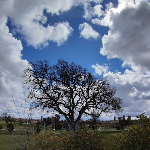 Golf Club «Paso Robles Golf Club», reviews and photos, 1600 Country Club Dr, Paso Robles, CA 93446, USA