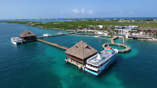 Dolphin Discovery Cancun