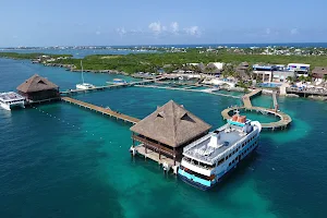 Dolphin Discovery Cancun image