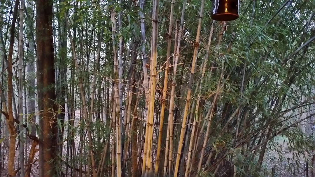 Black Bamboo Pavilion Taijiquan School