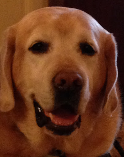 Funeral Home «G H Herrmann Funeral Homes», reviews and photos, 5141 Madison Ave, Indianapolis, IN 46227, USA